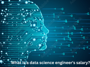 Read more about the article What is a data science engineer’s salary?