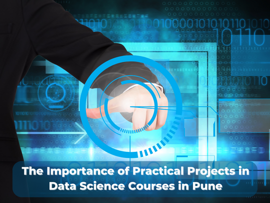 Read more about the article The Importance of Practical Projects in Data Science Courses in Pune